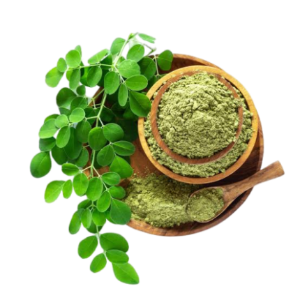 Moringa Powder