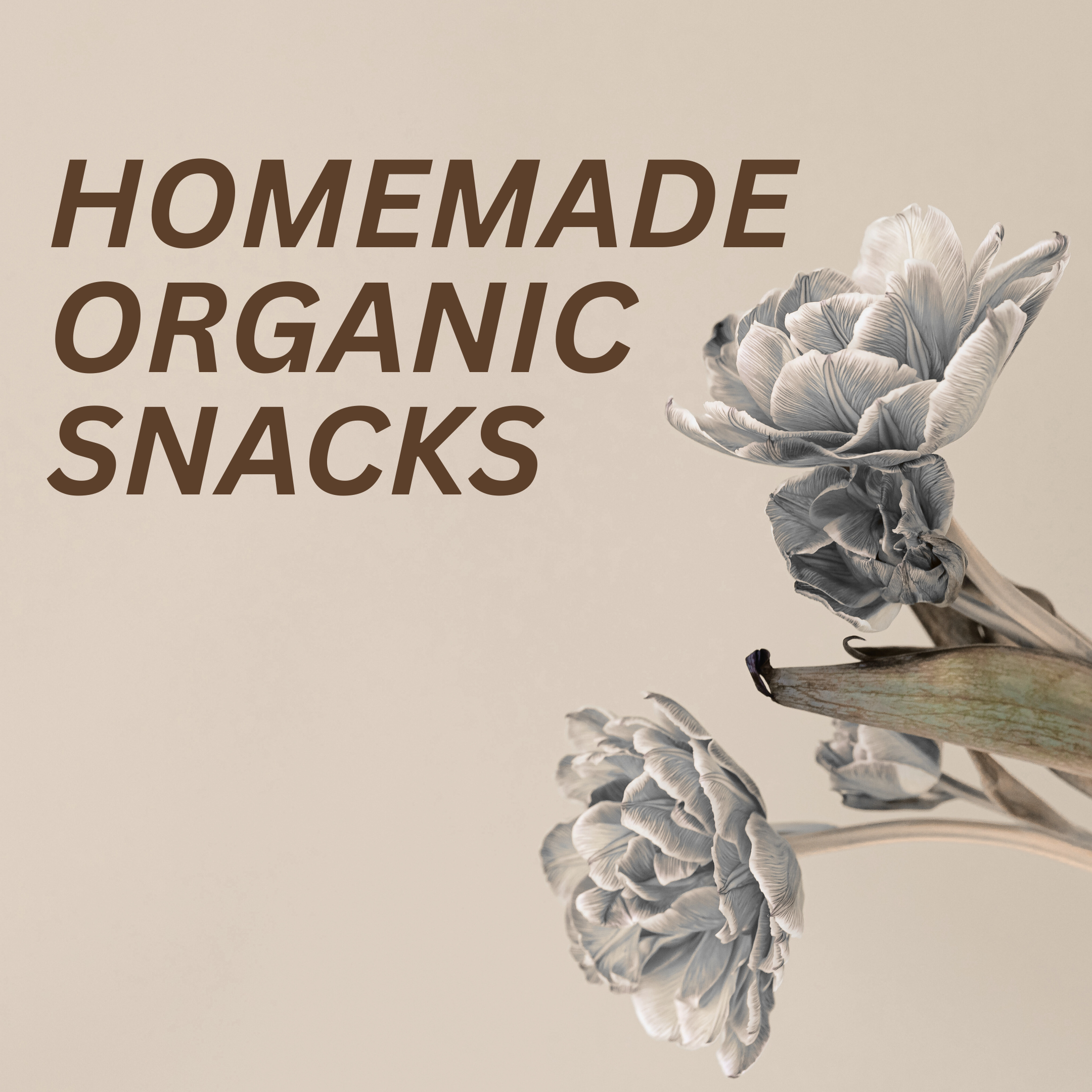 Homemade Organic Snacks