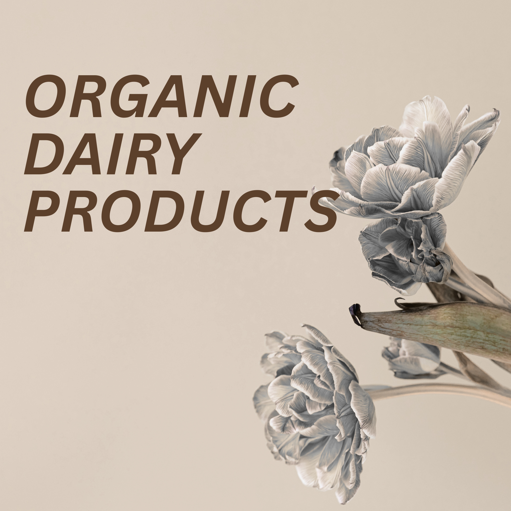 Organic Dairy Products